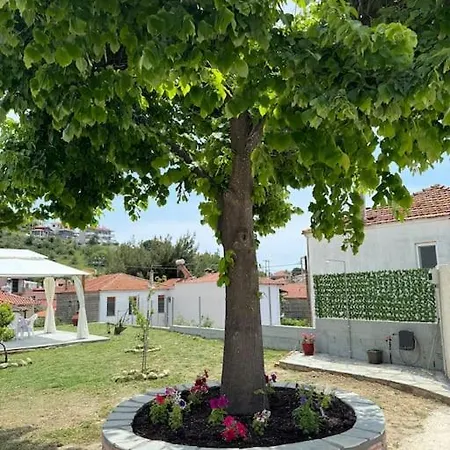 Galini